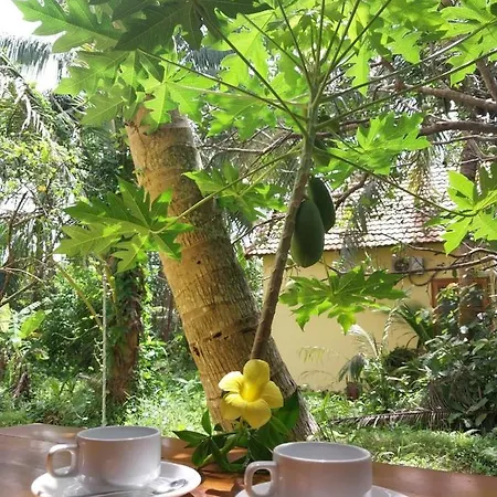 Phu Quoc Pomelo Garden Apartment Exterior photo